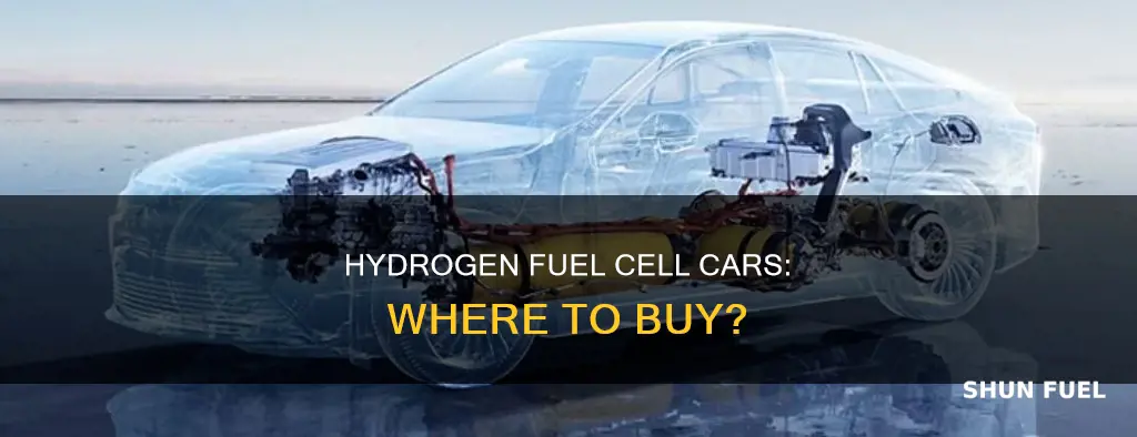 where to buy hydrogen fuel cell car