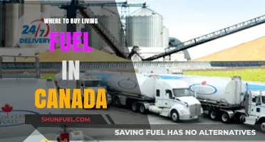 Where to Buy Living Fuel in Canada: Top Retailers and Sources