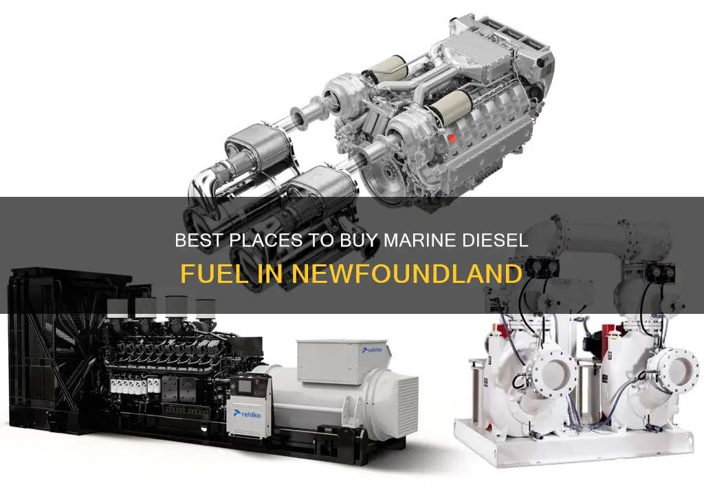 where to buy marine diesel fuel in newfoundland