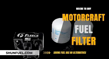 Motorcraft Fuel Filter: Where to Buy and Why