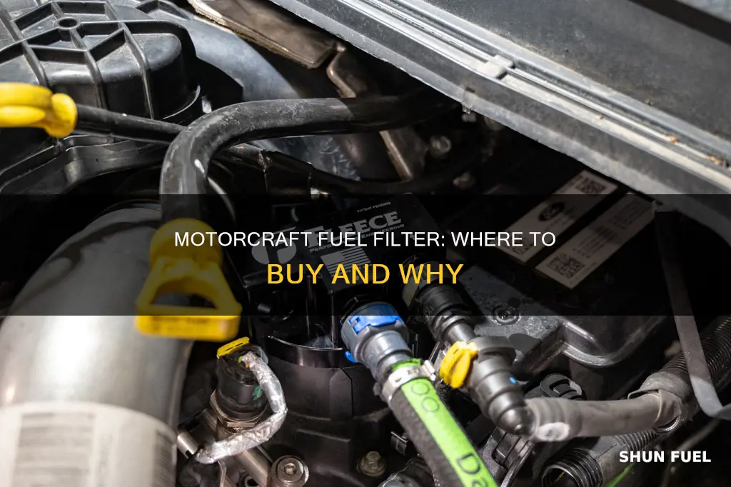 where to buy motorcraft fuel filter