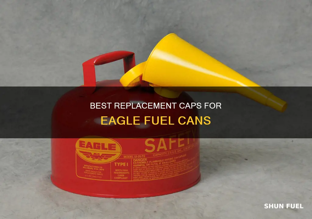 where to buy replacement cap for eagle fuel can