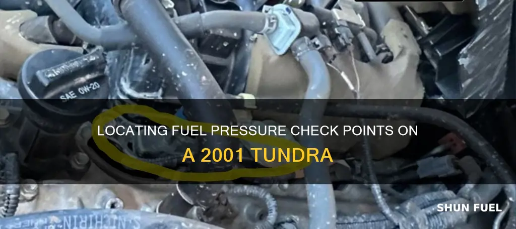 where to check fuel pressure on a 2001 tundra