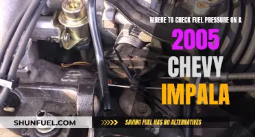 Finding Fuel Pressure Check Point in 2005 Chevy Impala