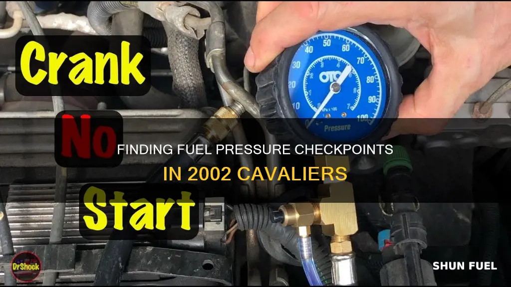 where to check the fuel pressure on 2002 cavalier