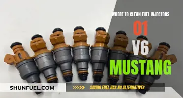 Cleaning Fuel Injectors: '01 V6 Mustang Maintenance Guide