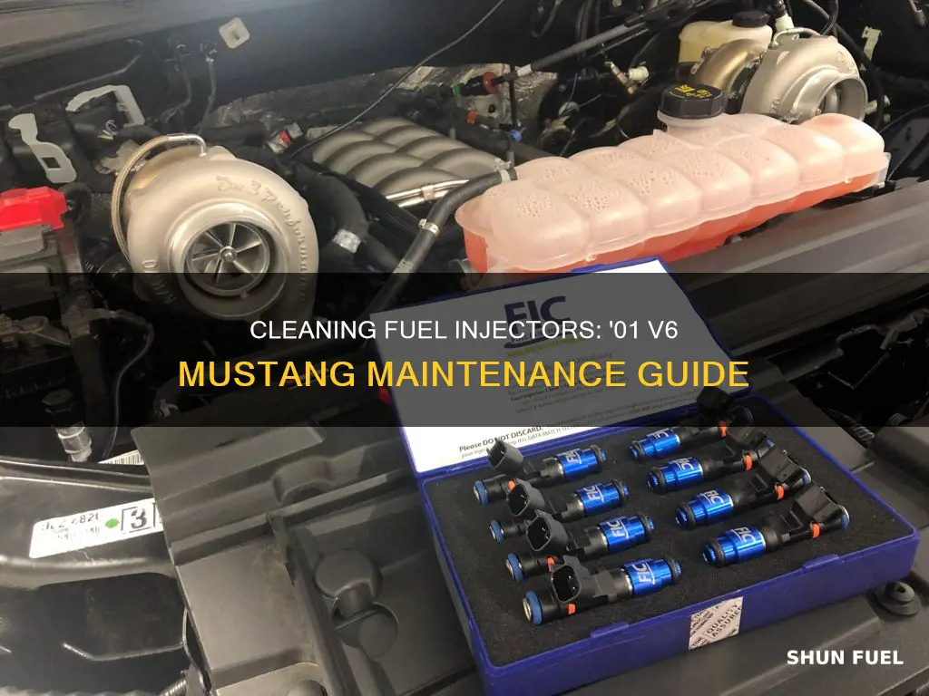 where to clean fuel injectors 01 v6 mustang