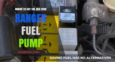 Ford Ranger Fuel Pump Replacement: Locating the Correct Bed Cut