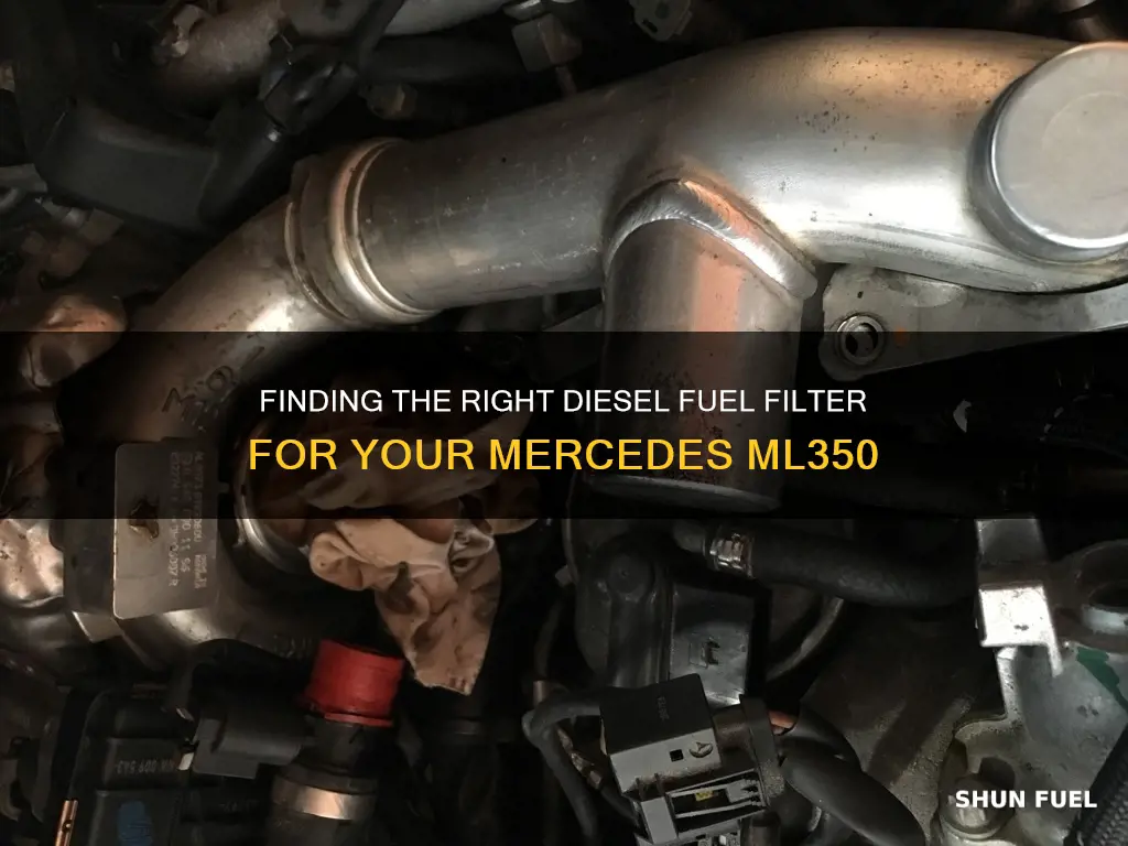 where to diesel fuel filter with 3 pin mercedes ml350