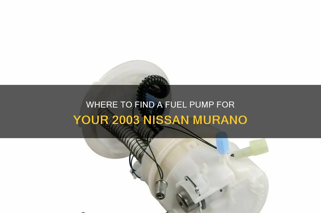 where to find a fuel pump for 2003 nissan murano