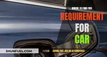 Fuel Requirements: Where to Find Your Car's Thirst