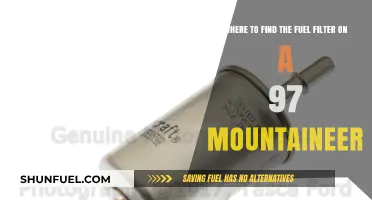 Locating the Fuel Filter on a 97 Mountaineer