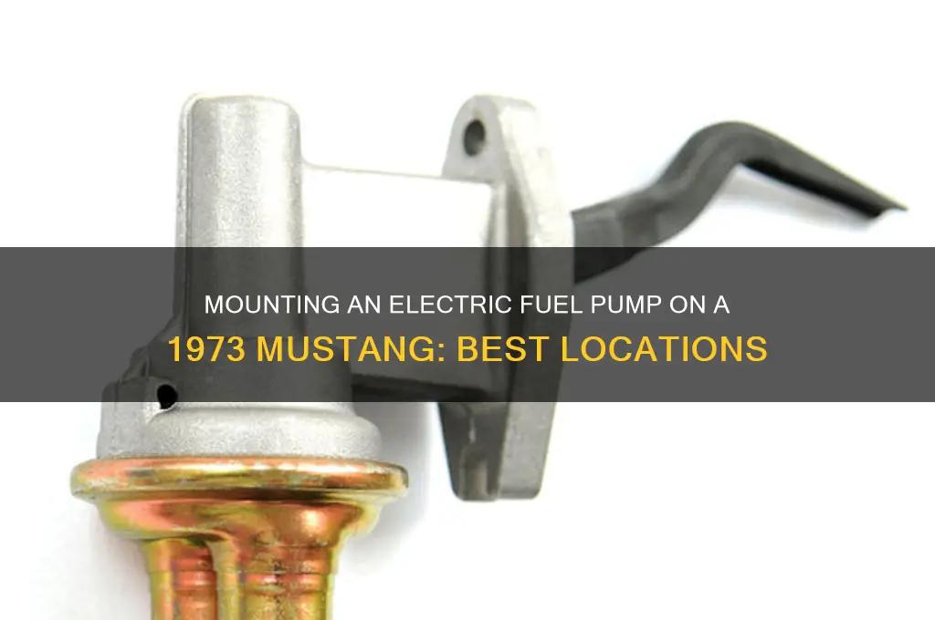 where to mount electric fuel pump on 73 mustang