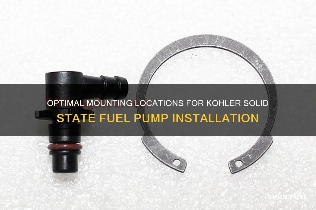 where to mount solid state fuel pump kohler