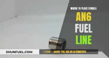 Fuel Line Placement: Ferrell AN6 Installation Guide