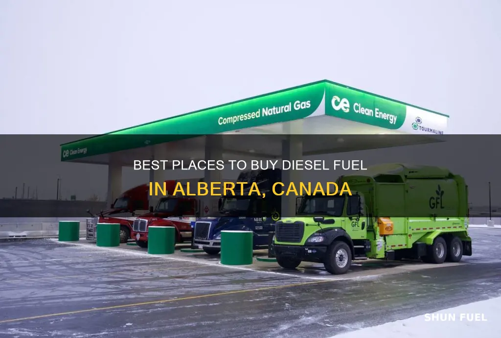 where to purchase diesel fuel in alberta canada
