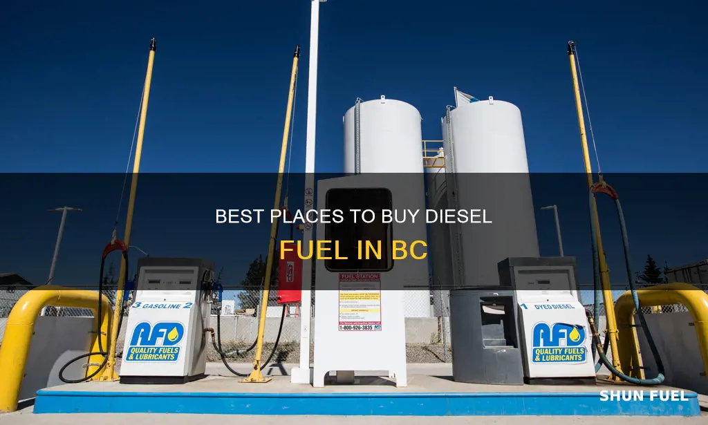 where to purchase diesel fuel in bc