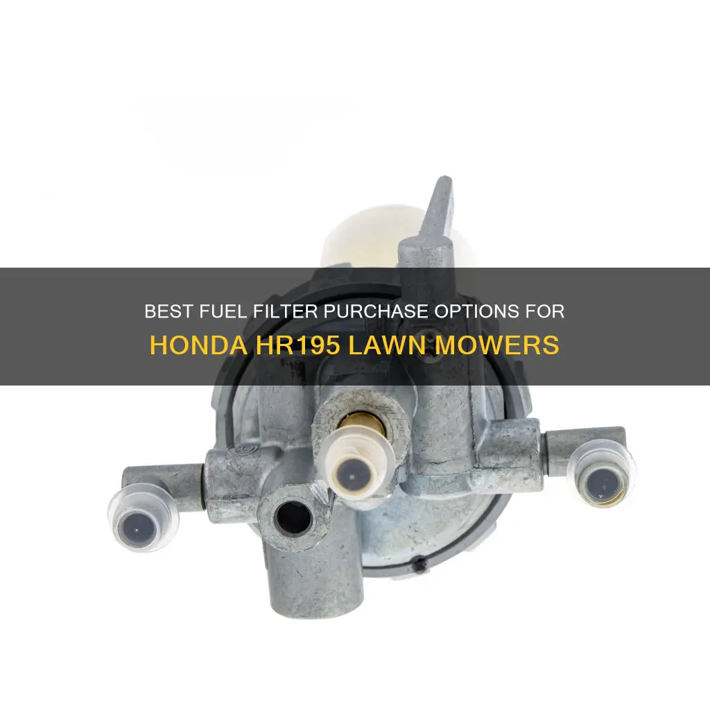 where to purchase fuel filter for honda lawn mower hr195