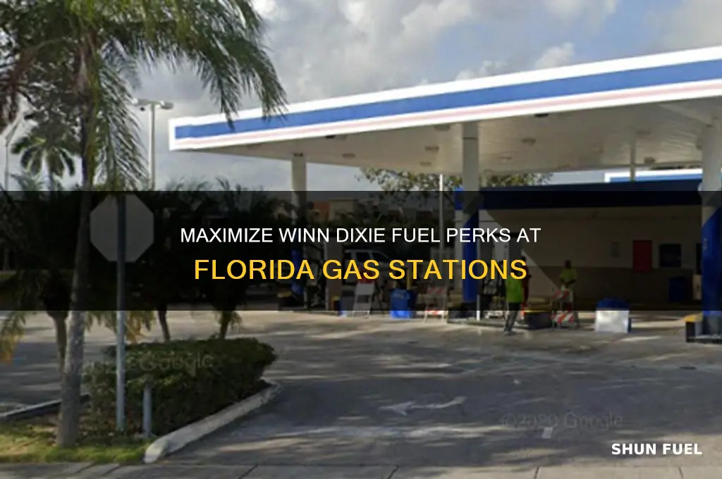 where to use winn dixie fuel perks in florida