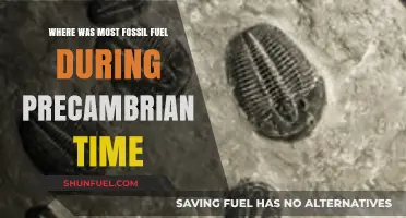 Precambrian Fossil Fuel Origins: Uncovering Ancient Energy Deposits