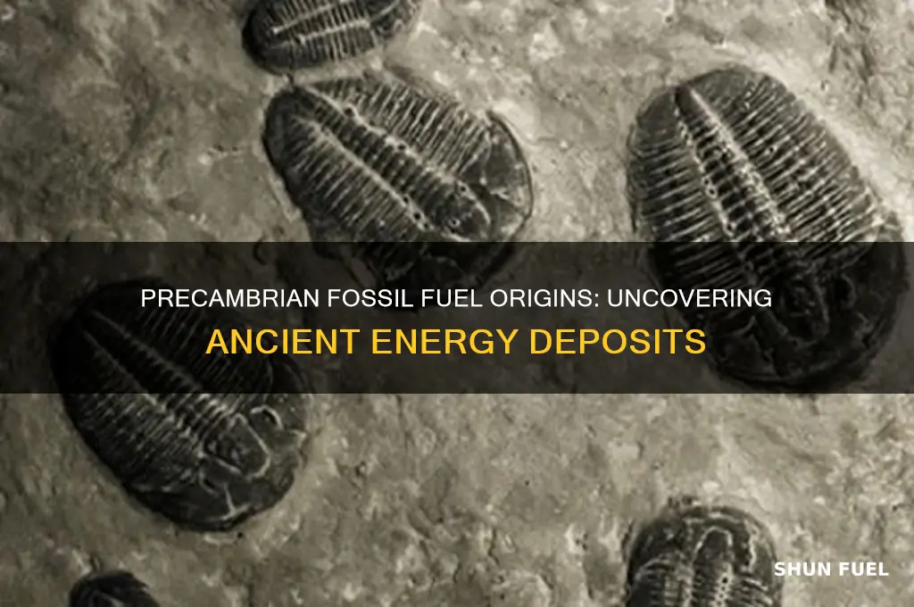 where was most fossil fuel during precambrian time