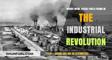 Uncovering Fossil Fuel Sources: The Industrial Revolution's Energy Origins