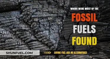 Uncovering Fossil Fuel Deposits: Global Hotspots and Their Origins