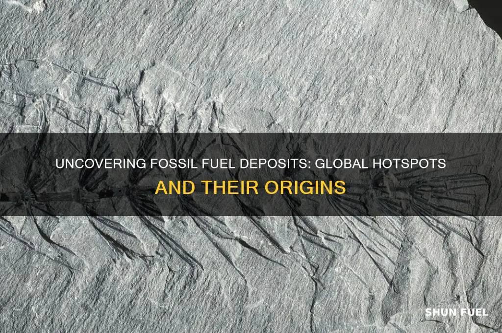 where were most of the fossil fuels found