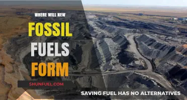 Future Fossil Fuel Formation: Where and How Will It Occur?