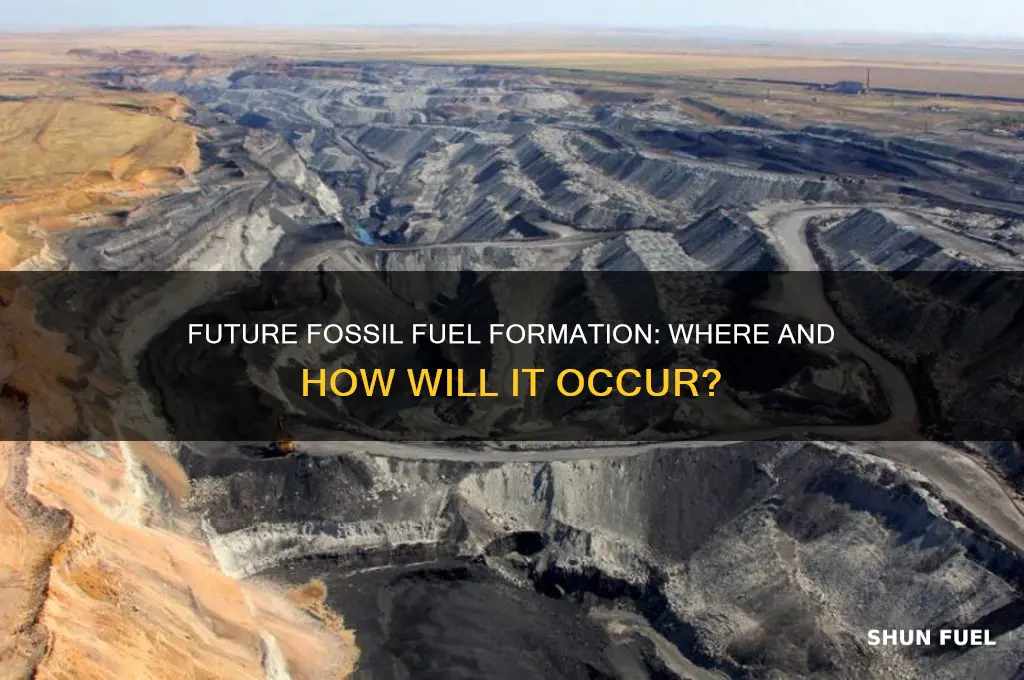 where will new fossil fuels form