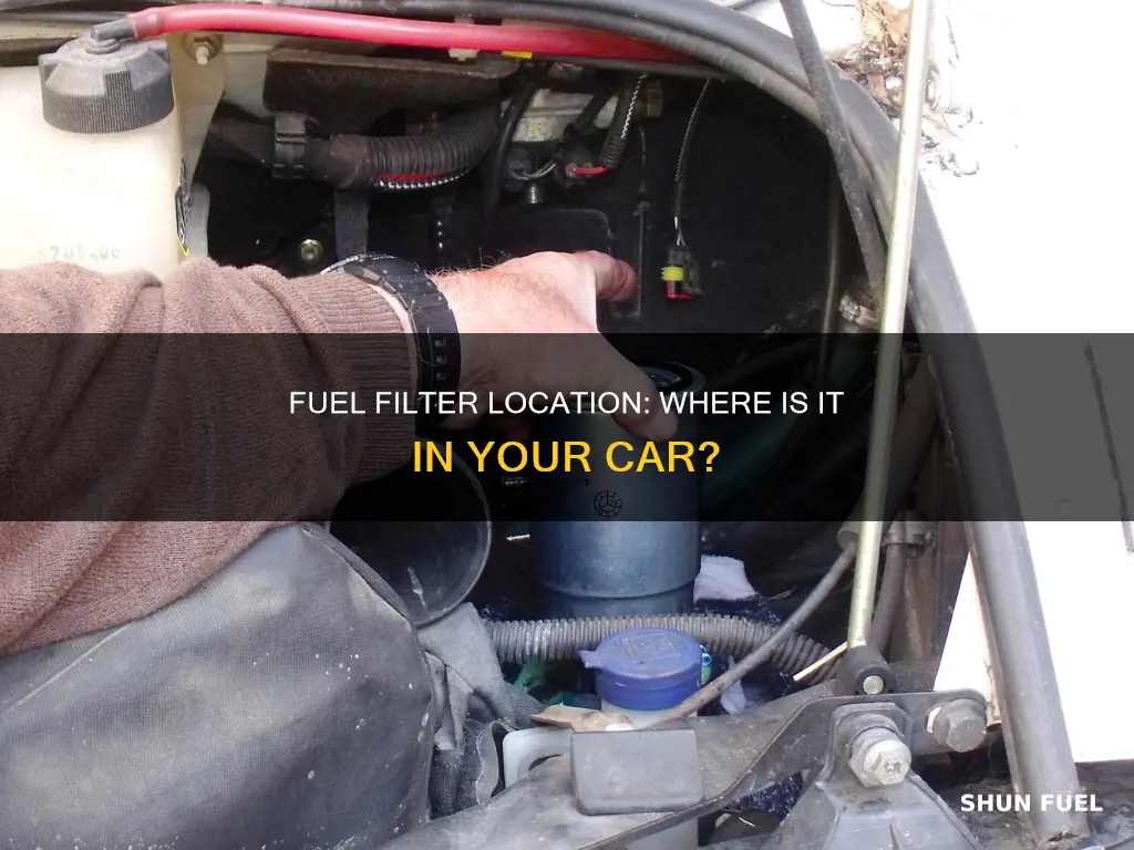 where would a fuel filter