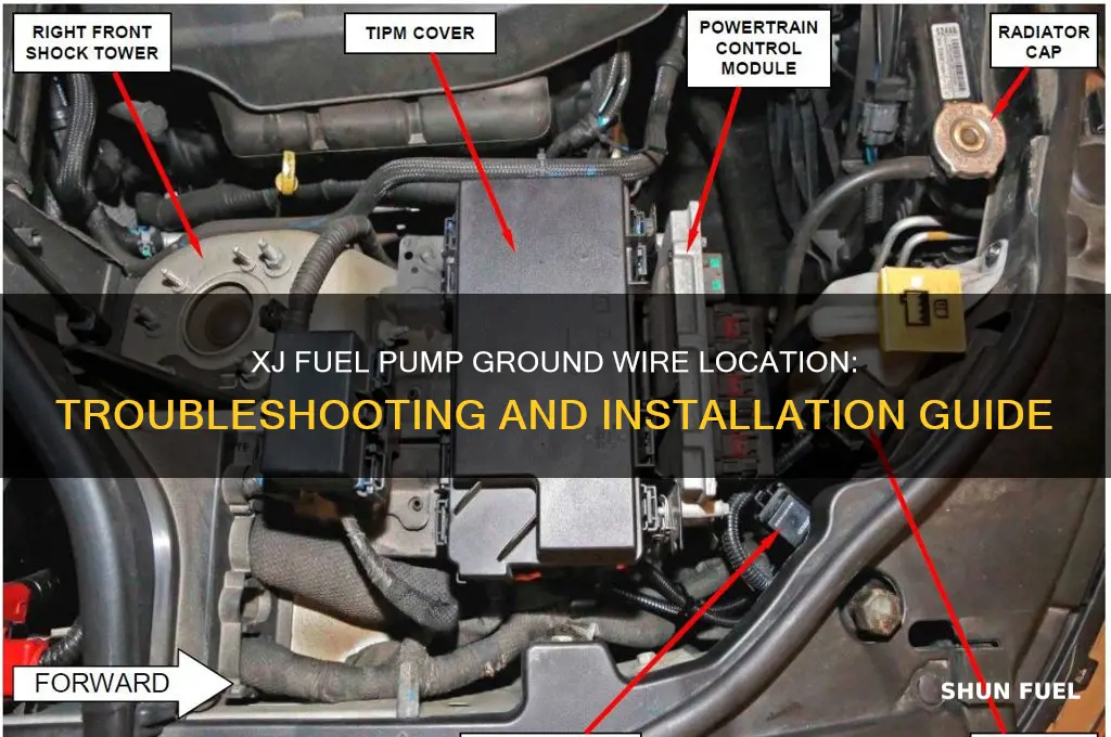where xj fuel pump ground wire