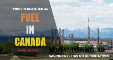 Canada's First Natural Gas Discovery: Uncovering the Historic Fuel Source