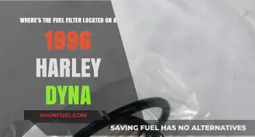 Harley Dyna Fuel Filter: Where's the Right Spot?