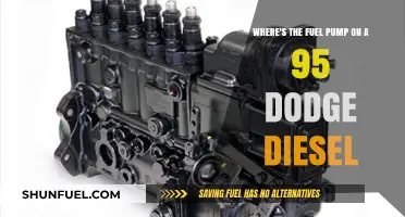 Finding the Fuel Pump in a '95 Dodge Diesel