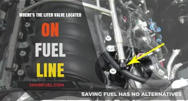 Fuel Line Liter Valve: Location and Function