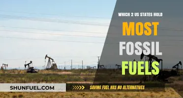 Top Fossil Fuel Reserves: Which Two U.S. States Lead the Nation?