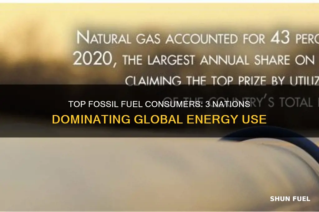 which 3 countries use the most fossil fuels