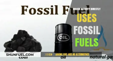 Direct Fossil Fuel Use: Activities That Rely on Non-Renewable Energy