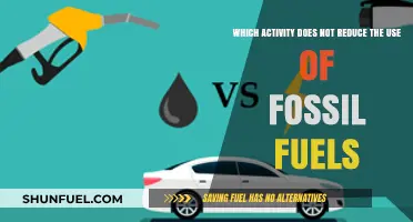 Driving Gas-Powered Vehicles: An Activity That Doesn't Cut Fossil Fuel Use