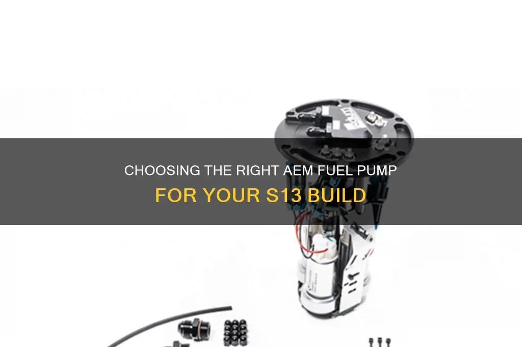 which aem fuel pump for s13