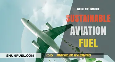 Sustainable Skies: Airlines Leading the Shift to Green Aviation Fuel
