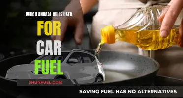 Animal Oil Fuel: A Sustainable Car Energy Source?