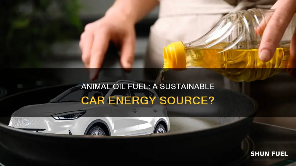 which animal oil is used for car fuel