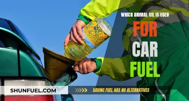 Animal Oil as Car Fuel: Which Creatures Power Vehicles?