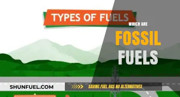 Understanding Fossil Fuels: Coal, Oil, and Natural Gas Explained