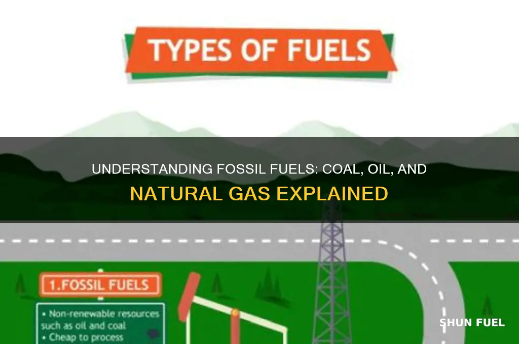 which are fossil fuels