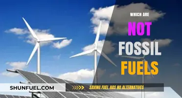 Exploring Renewable Energy: Alternatives Beyond Fossil Fuels for a Greener Future