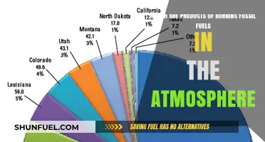 Burning Fossil Fuels: Atmospheric Products and Environmental Impacts Explained