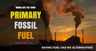 Exploring the Three Primary Fossil Fuels Powering Our World